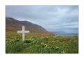 Hornstrandir #29516 Hornstrandir #29516