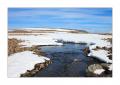 Hornstrandir #29348 Hornstrandir #29348