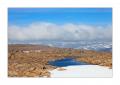 Hornstrandir #29355