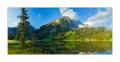 Lauenensee Pano #21492