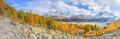 Herbst am Silsersee Pano #33976