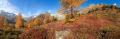 Meiental im Herbst Pano #30508