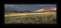 Wolwedans Pano #02