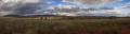 Wolwedans Pano #04