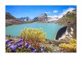 Stausee Griessee #32921