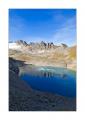 Wildsee #29916