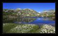 Grimselpass #8226