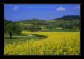 Mandach #6805