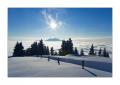 Rigi Staffelhoehe #17972