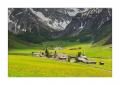 Frühling im Sertigtal #34355