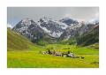 Frühling im Sertigtal #34364