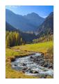 Herbst im Sertigtal #36435