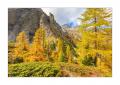 Herbst im Sertigtal #36503 Herbst im Sertigtal #36503