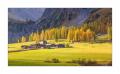 Herbst im Sertigtal #36529