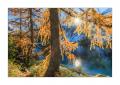Bergsee Lagh Cavloc #33899