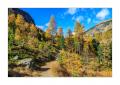 Herbst im Berninatal #37405