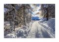 Winterwald #334020
