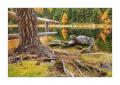 Schwarzsee #37357