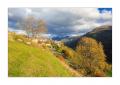 Guarda #36772