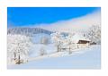 Winter im Eigental #25908