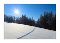 Winter bei Oberiberg #25862