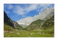 Erstfeldertal #22705