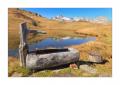 Furka Bergsee #34915