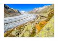 Aletschgletscher #36277