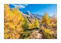 Val d'Arolla #F01564