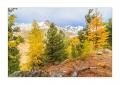 Herbst in Zermatt #5D301584