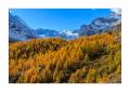 Stafelalp #5D301796