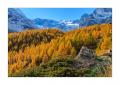 Stafelalp #5D301805