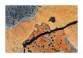Flechten #29500