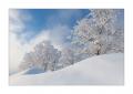 Winter im Eigental #25950