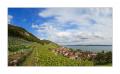 Twann Pano #29955