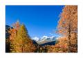 Morteratsch #30710