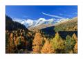 Morteratsch #30722