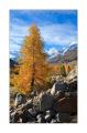 Morteratsch #30751