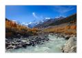 Morteratsch #30794