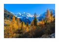 Morteratsch Gletscher #37462