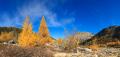 Morteratsch Pano #30781