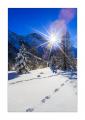 Morteratsch im Winter #338920