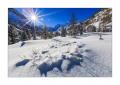 Morteratsch im Winter #338935