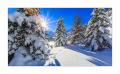 Morteratsch im Winter #338943