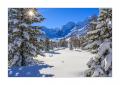 Morteratsch im Winter #338950
