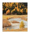 Berninabach #30923