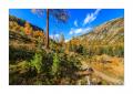 Herbst im Berninatal #37408