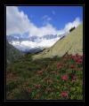 Goescheneralp #7873