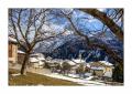Soglio #5ds03541