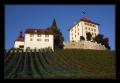 Schloss Heidegg #1405